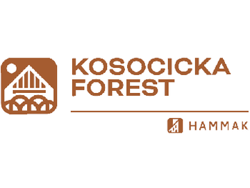 Kosocicka Forest